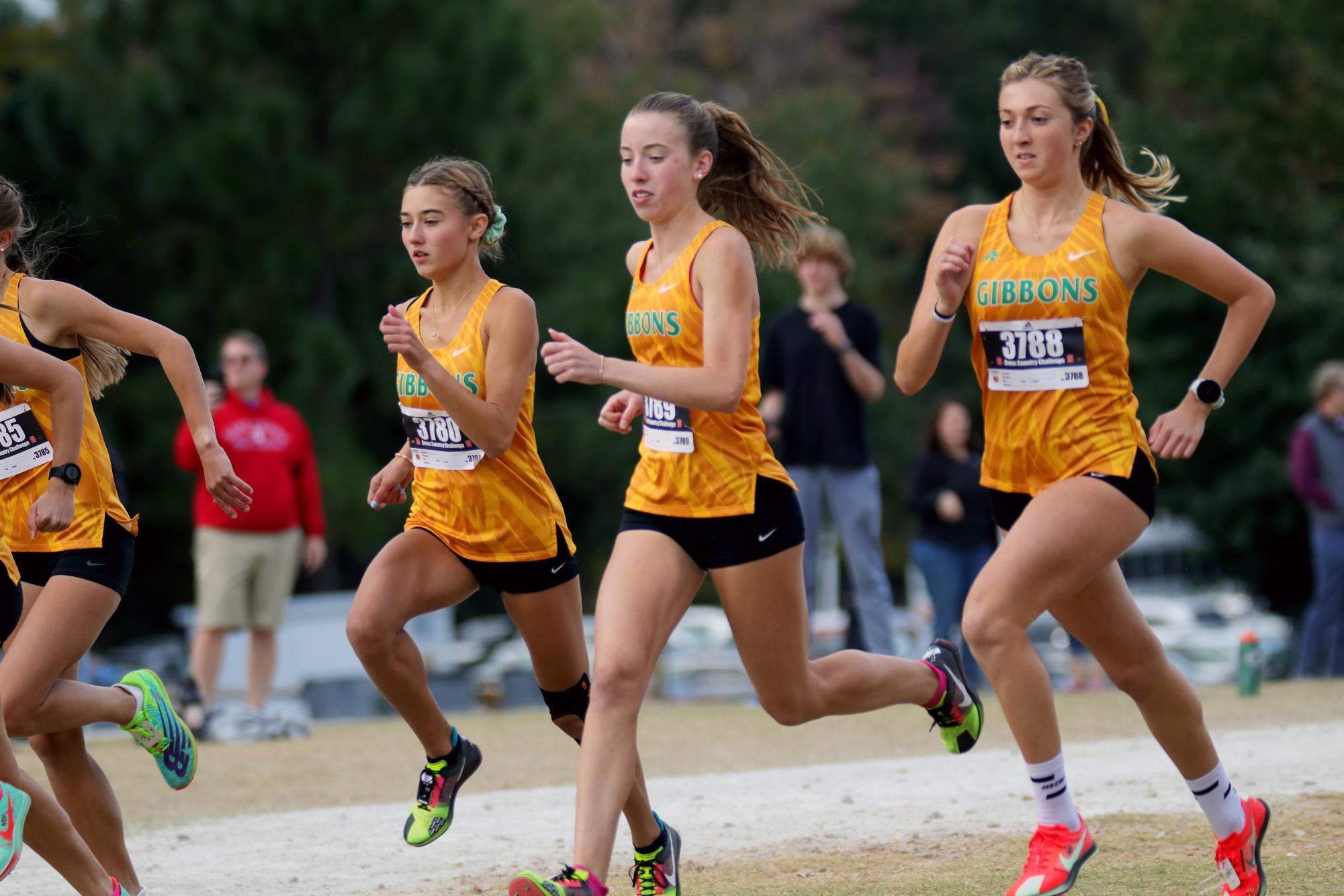 Girls Cross Country Makes It To Nationals